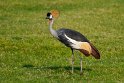 022 Sir Bani Yas